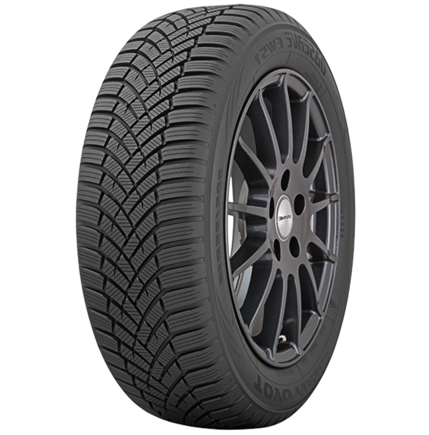 Toyo Observe EWS1