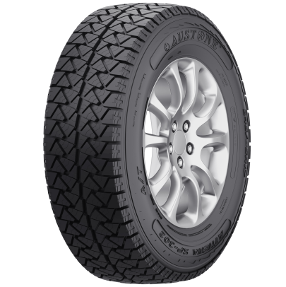 Austone Athena SP-302