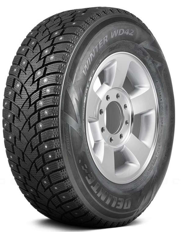Delinte Winter WD42 Ш